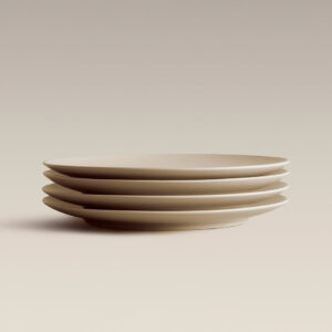Large Ceramic Dinner Plates 10.7 Inch