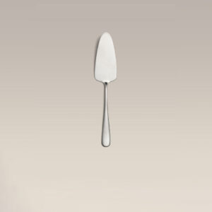 Matte Stainless Cake Server 9.5 Inch